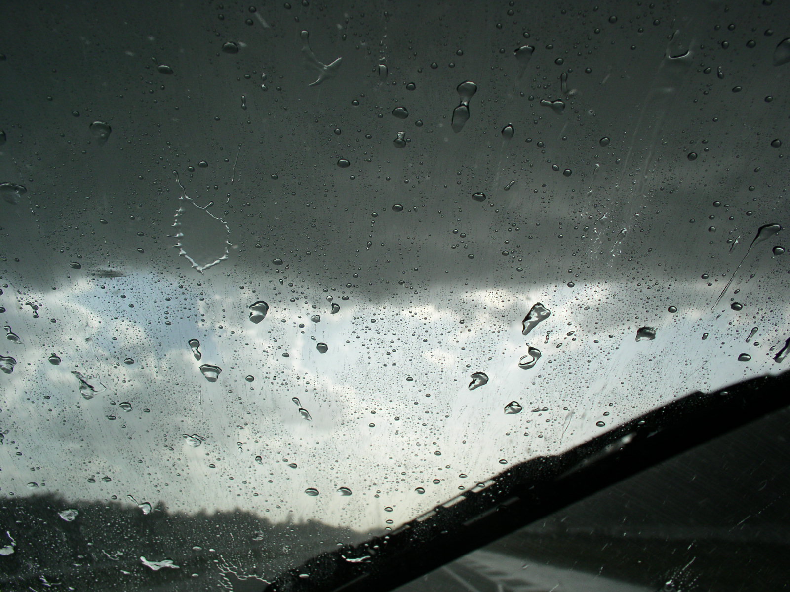 photo1